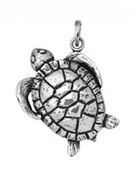 Pendente Giovanni Raspini in Argento 06892 - 06892